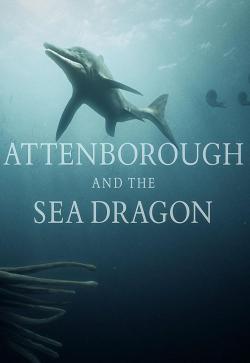 Attenborough and the Sea Dragon (2018)