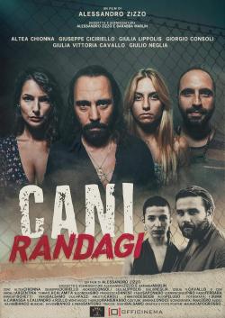 Cani randagi (2024)