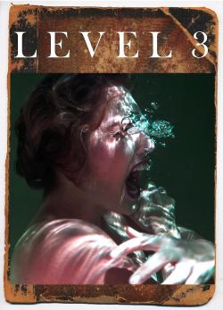 Level 3 (2021)