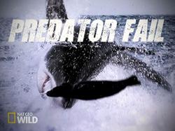 Predator Fail (2014)