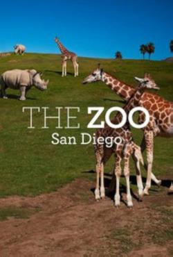The Zoo: San Diego (2019)