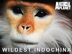 Wildest Indochina (2014)
